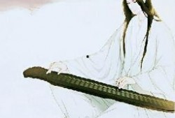 逆水寒最新爆料视频下载,揭秘游戏世界背后的秘密与惊喜