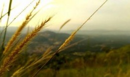 风景视频爆料大全最新网站,尽享视觉盛宴